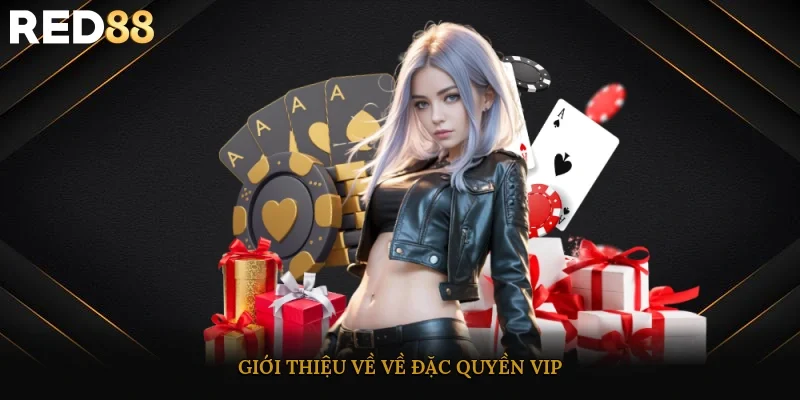 Giới thiệu về về đặc quyền VIP
