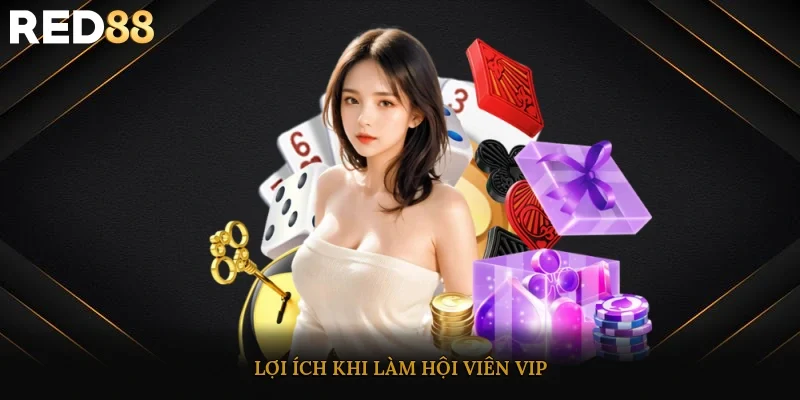 Lợi ích khi làm hội viên VIP