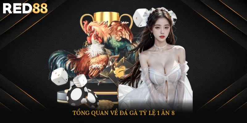 Tổng quan về đá gà tỷ lệ 1 ăn 8